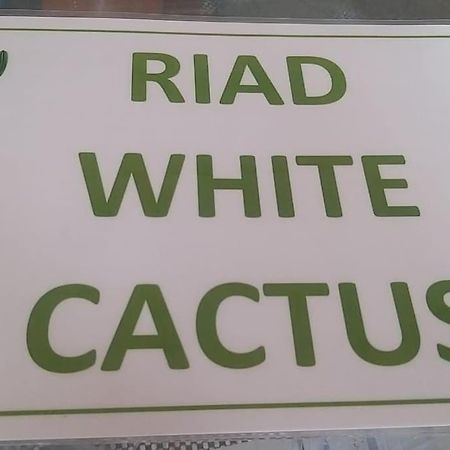 Riad White Cactus Marrakesh Luaran gambar