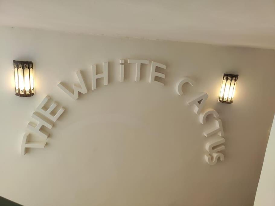Riad White Cactus Marrakesh Luaran gambar